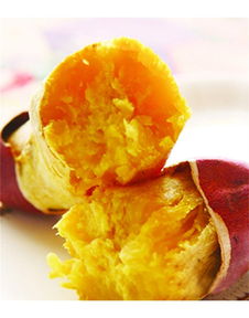 泉城烤薯加盟詳解 費(fèi)用、總部及地瓜坊餐飲管理分析